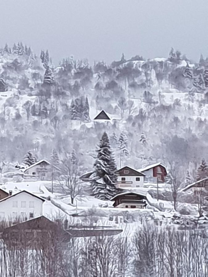 Maison Chaleureuse La Meybel La Bresse Luaran gambar