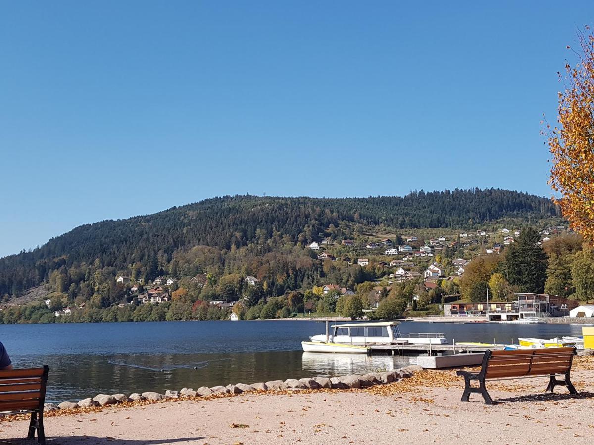 Maison Chaleureuse La Meybel La Bresse Luaran gambar