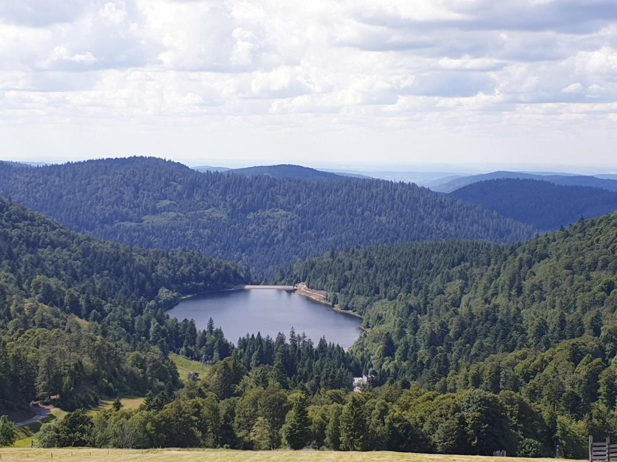 Maison Chaleureuse La Meybel La Bresse Luaran gambar