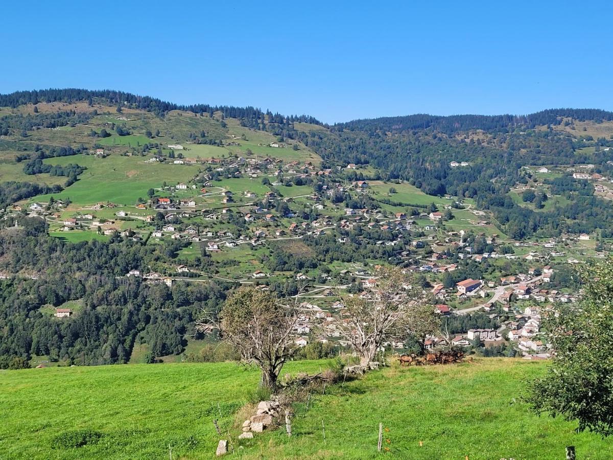 Maison Chaleureuse La Meybel La Bresse Luaran gambar
